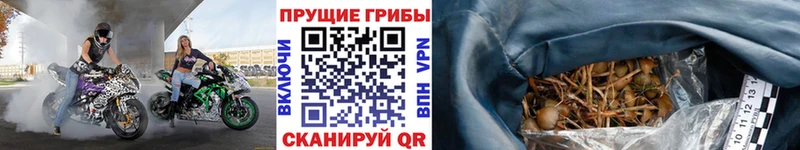 Псилоцибиновые грибы прущие грибы Армянск